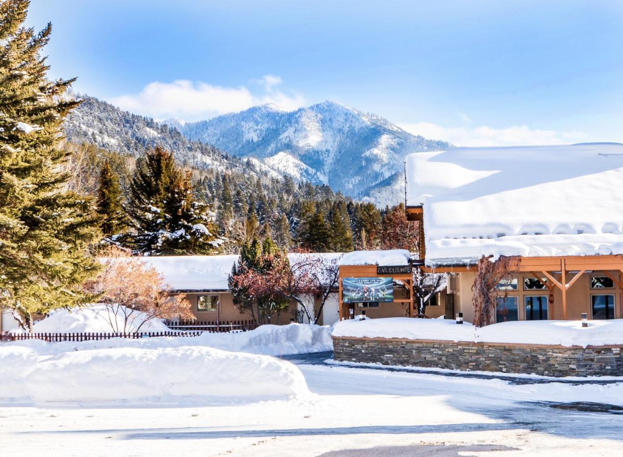 Flying Saddle Resort And Steak House Alpine Extérieur photo